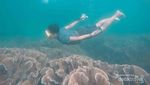 Menari Bersama Penyu di Derawan
