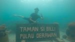 Menari Bersama Penyu di Derawan