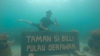 Taman Si billy
