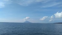 Pemandangan dari jembatan