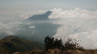 penampakan merapi