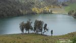 Menawannya Bidadari Pendamping Gunung Semeru