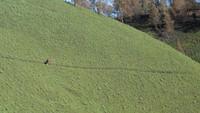 Hijaunya Rumput di Ranu Kumbolo