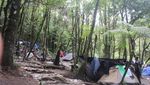 Mencapai Puncak dan Resolusi Hidup di Gunung Gede