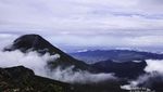 Mencapai Puncak dan Resolusi Hidup di Gunung Gede