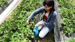 Mencari Ketenangan di Bali, Danau Buyan Pilihannya