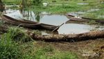 Mencari Ketenangan di Bali, Danau Buyan Pilihannya