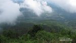 Mendaki & Menyibak Kabut di Puncak Telomoyo