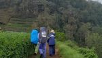 Mendaki Gunung Arjuno Saat Musim Hujan, Begini Caranya