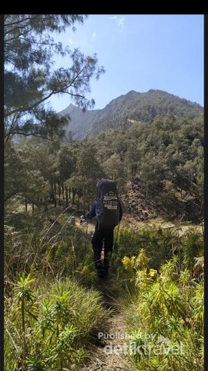 Mendaki Gunung Arjuno Saat Musim Hujan, Begini Caranya