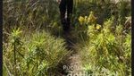 Mendaki Gunung Arjuno Saat Musim Hujan, Begini Caranya
