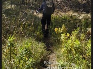 Mendaki Gunung Arjuno Saat Musim Hujan, Begini Caranya