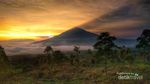 Mendaki Gunung Cikuray saat New Normal