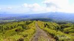 Mendaki Gunung Cikuray saat New Normal