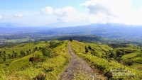 Jalur pendakian di Gunung Cikuray