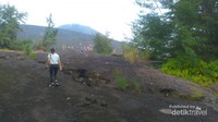 Tracking menuju puncak
