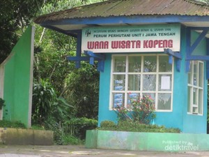 Mendaki Gunung Merbabu Via Desa Cuntel? Bisa!