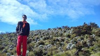 Sindoros Peak 2 - Edelweiss