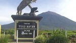 Mendaki Kerinci, Atapnya Sumatera