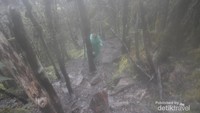Medan Gunung Latimojong