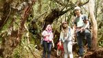 Mendaki Sibuatan, Puncak Tertinggi di Sumatera Utara