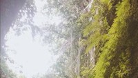Menyusuri sungai kecil menuju goa