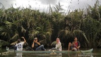 Menelusuri Rumah Bangau yang menawan dan menakjubkan