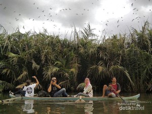 Menelusuri Habitat Rumah Bangau di Padang