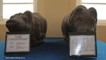 Menelusuri Jejak Kolonial di Museum Kabupaten Daerah Subang