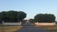 Keraton Yogyakarta dilihat dari arah Alun-Alun utara dengan dua buah pohon beringin besarnya yang terkenal