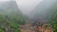 Masih banyak sisa pohon yang mati akibat awan panas