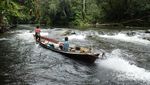 Menembus Lebatnya Hutan, Petualangan ke Jantung Borneo