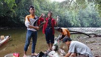 Ikan sapan yang didapatkan dari sungai.