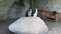 Faunaland