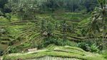 Menenangkan Pikiran di Bali, Ubud Tempatnya