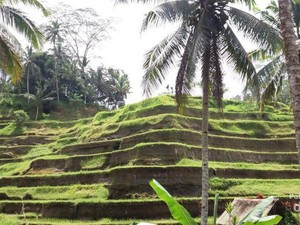 Menenangkan Pikiran di Bali, Ubud Tempatnya
