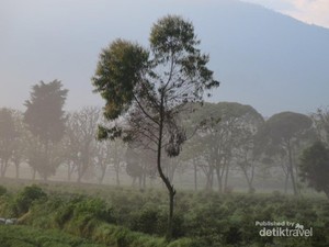 Menengok Desa Tarumajaya, Tempat Hulu Citarum Berada