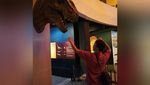 Menengok Jejak Dinosaurus di Asia Tenggara