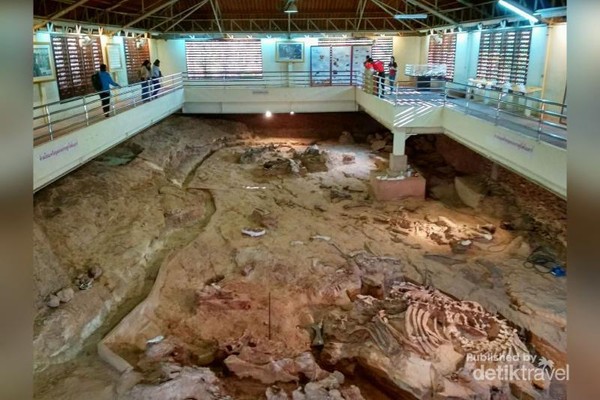 Lokasi penggalian fosil di sekitar museum