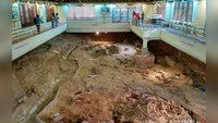 Lokasi penggalian fosil di sekitar museum