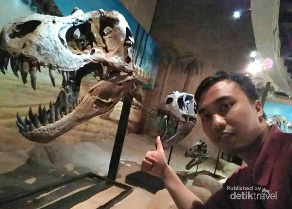 Dinosaurus pemakan daging (karnivora)