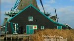 Menengok Kincir Angin Kuno di Zaanse Schans, Belanda