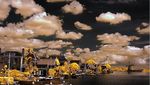 Menengok Kincir Angin Kuno di Zaanse Schans, Belanda