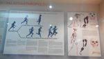 Menengok Koleksi Benda Kuno di Museum Nasional Jakarta