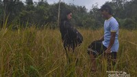 Saya dan Joe saat di kebun padi