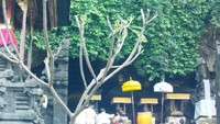 Gua gelap tersebut merupakan habitat ribuan kelelawar disini