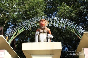 Menengok Si Bule di Tengah Kota Tarakan