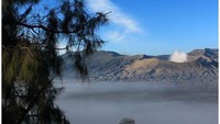 Bromo terbalut dalam embun