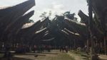 Mengagumi Sejarah & Indahnya Tana Toraja