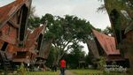 Mengapa Budaya Batak dan Toraja hampir sama?
